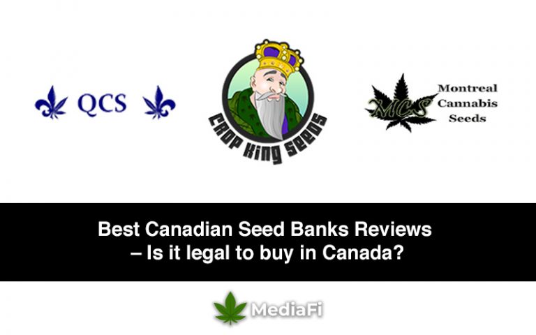 Best Canadian Seed Banks Reviews