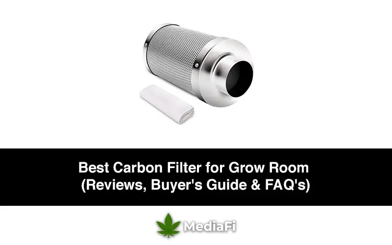 Best Carbon Filter for Grow Room