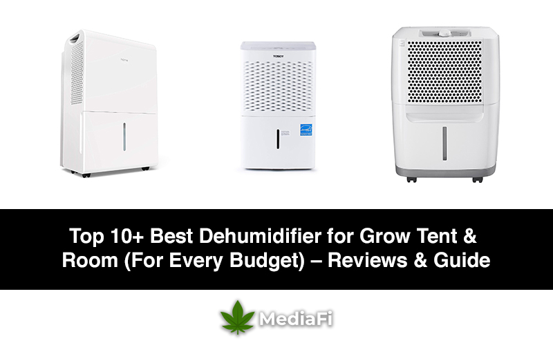 Best Dehumidifier for Grow Tent & Room