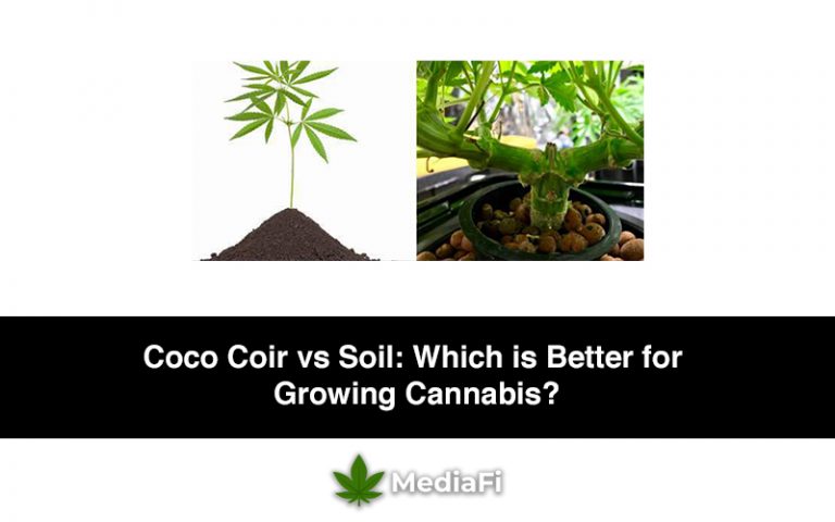 Coco Coir vs Soil