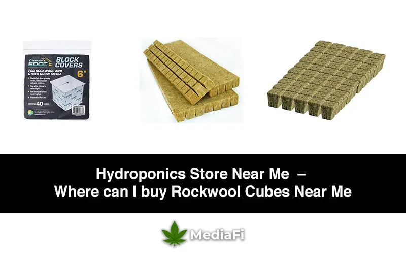Hydroponics Store Near Me