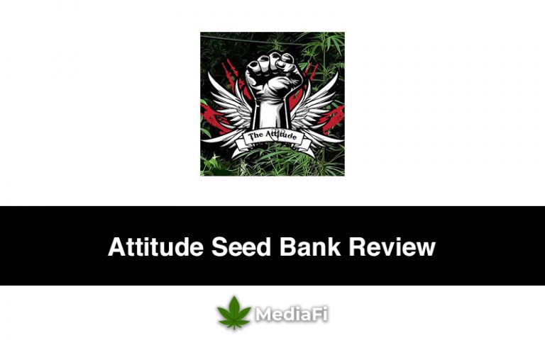 Attitude Seed Bank Review