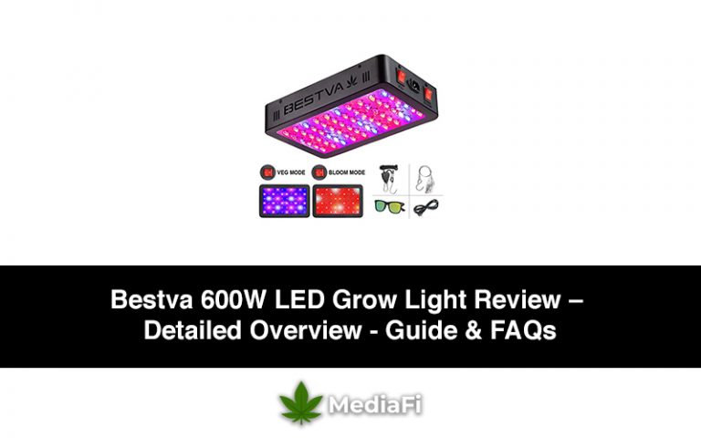 Bestva 600W LED Grow Light Review