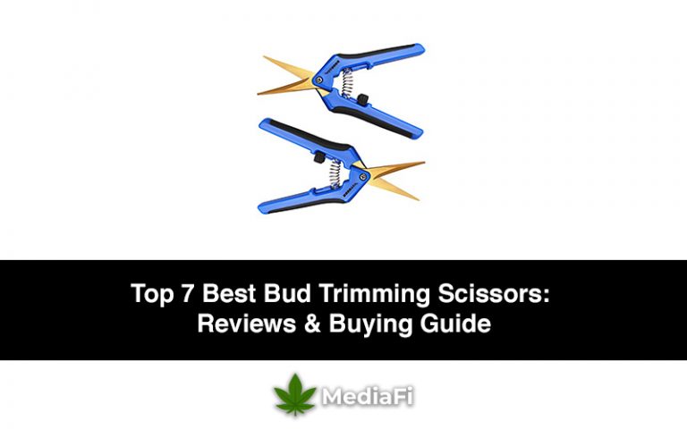 Best Bud Trimming Scissors For Marijuana Plants