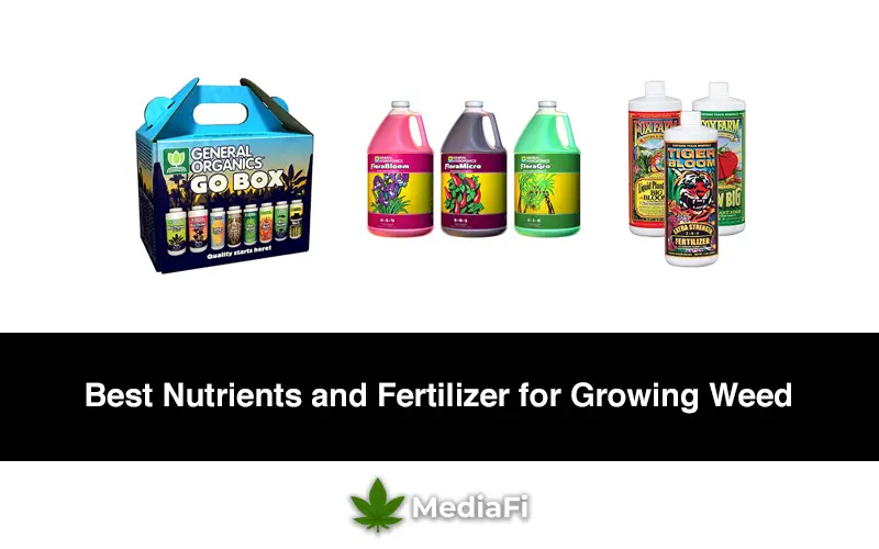 Best Nutrients and Fertilizer for Growing Weed