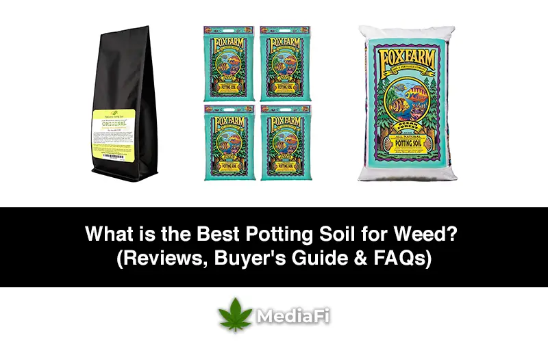 Best Potting Soil for Weed