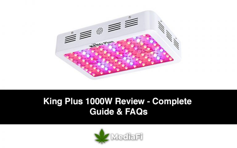 King Plus 1000W Led Grow Lights