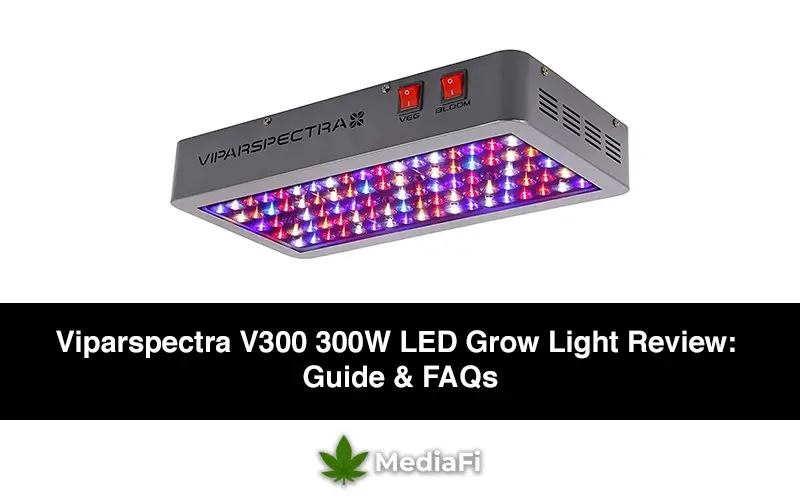 Viparspectra V300 300W LED Grow Light Review