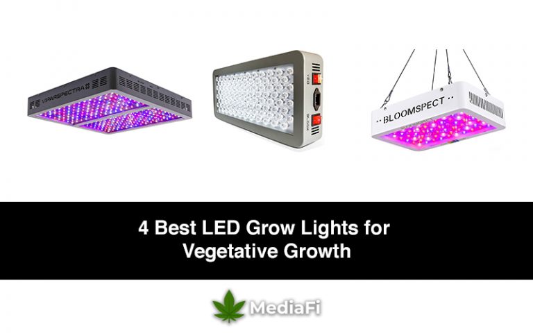 Best Light for Vegetative Growth | MediaFi