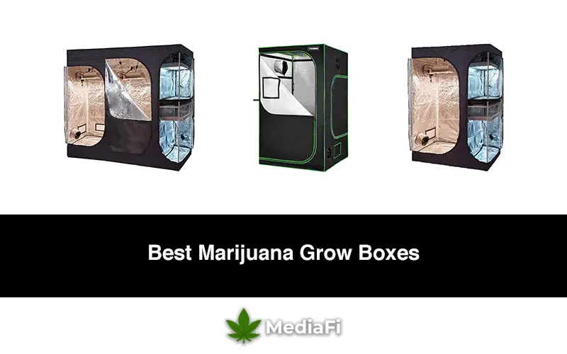 Best Marijuana Grow Boxes