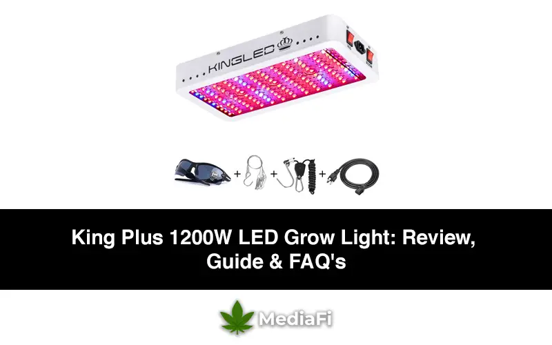King Plus 1200W LED Grow Light