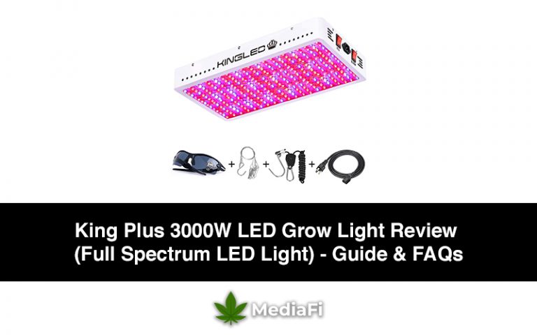 King Plus 3000W LED Grow Light