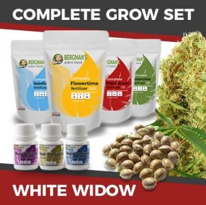 White Widow Kit
