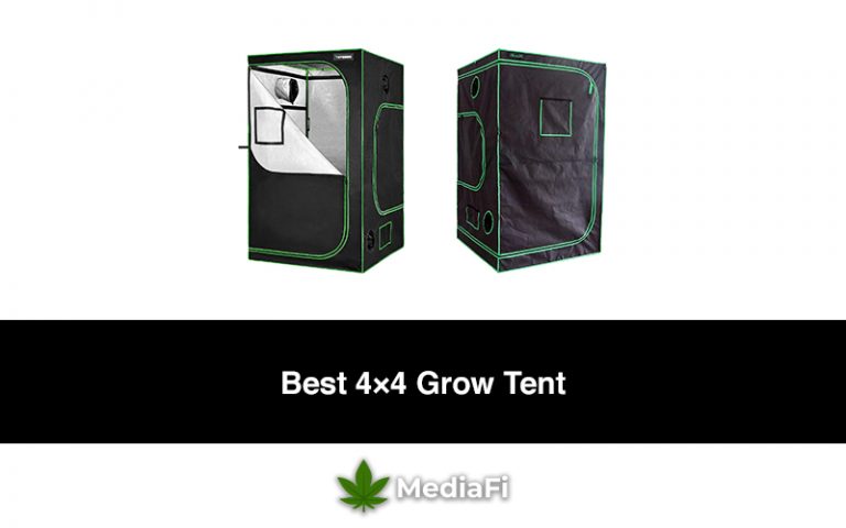 Best 4×4 Grow Tent