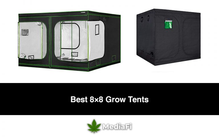 Best 8x8 Grow Tents