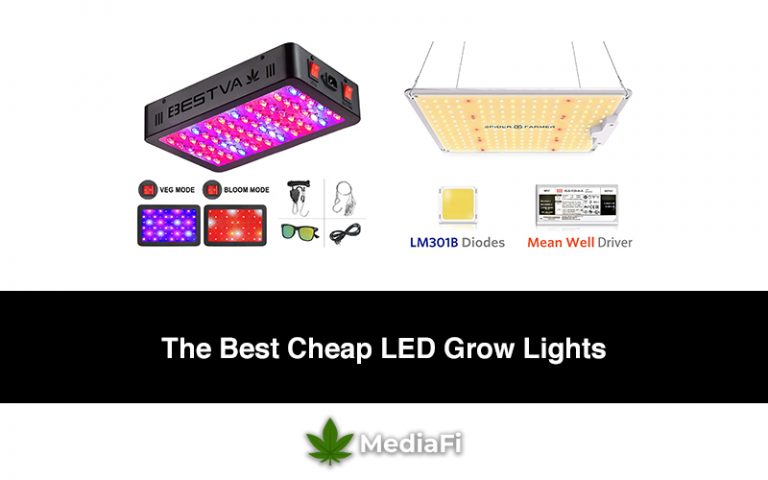 Best Cheap LED Grow Lights