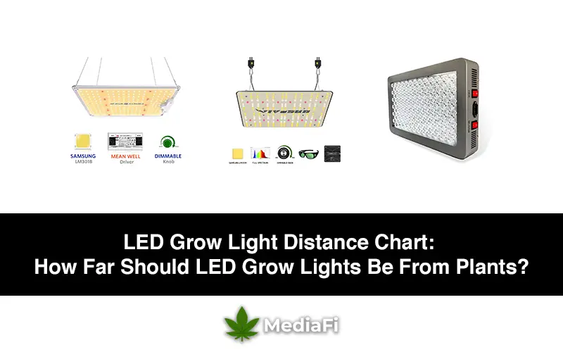 LED Grow Light Distance Chart: How Far Should LED Grow Lights Be From Plants?