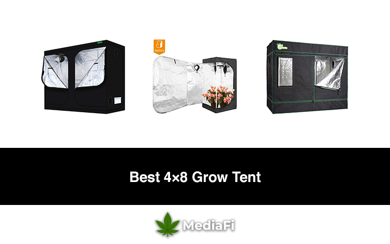Best 4×8 Grow Tent