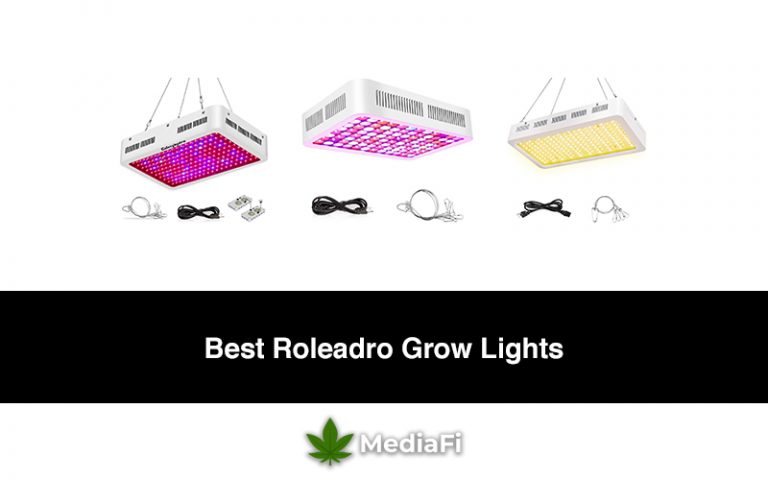 Best Roleadro Grow Lights
