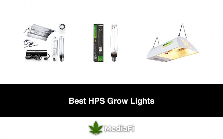 Best HPS Grow Lights