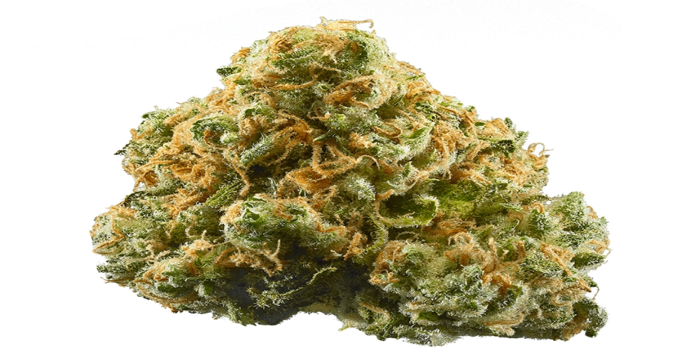 funnel cake strain review