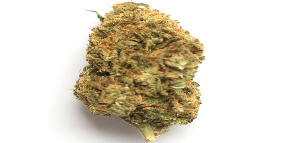 white wedding strain review