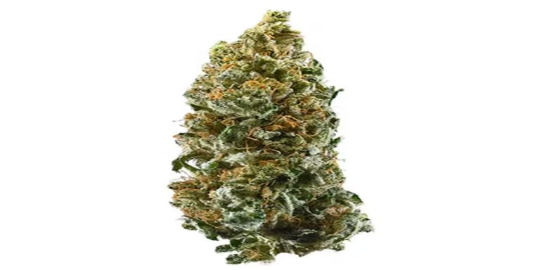 Cannatonic Strain