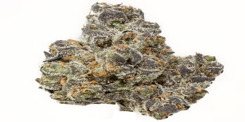apple fritters strain