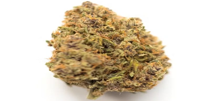 critical mass strain review