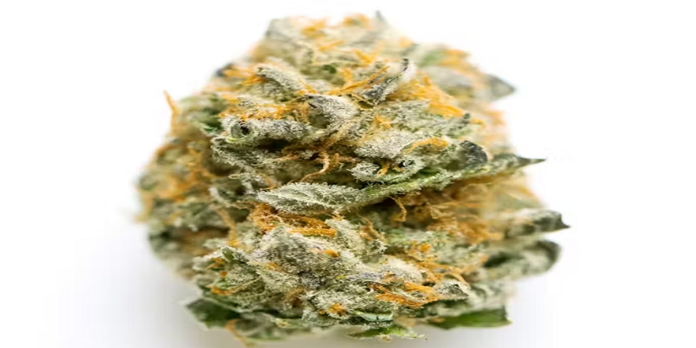 grease monkey strain