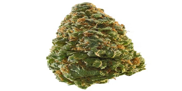 green crack strain