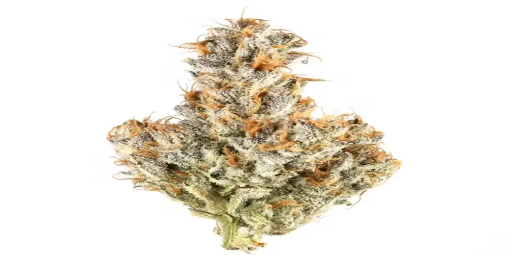 mendo breath strain