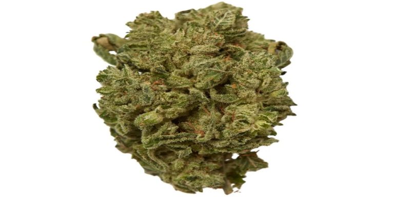 skittles strain review