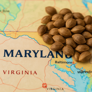 where to buy cannabis seeds in maryland
