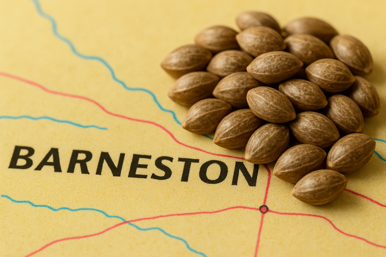 buy cannabis seeds in Barneston
